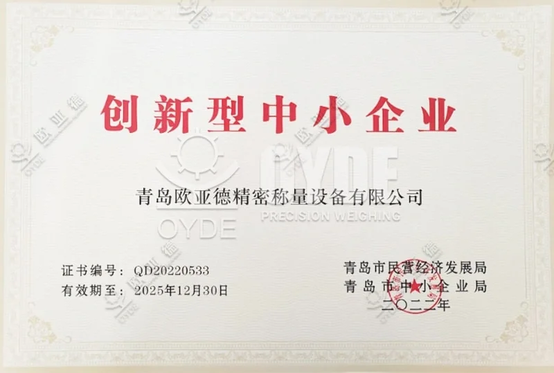 Дата начала 2024 г.
