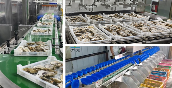 Решение для индустрии водных продуктов