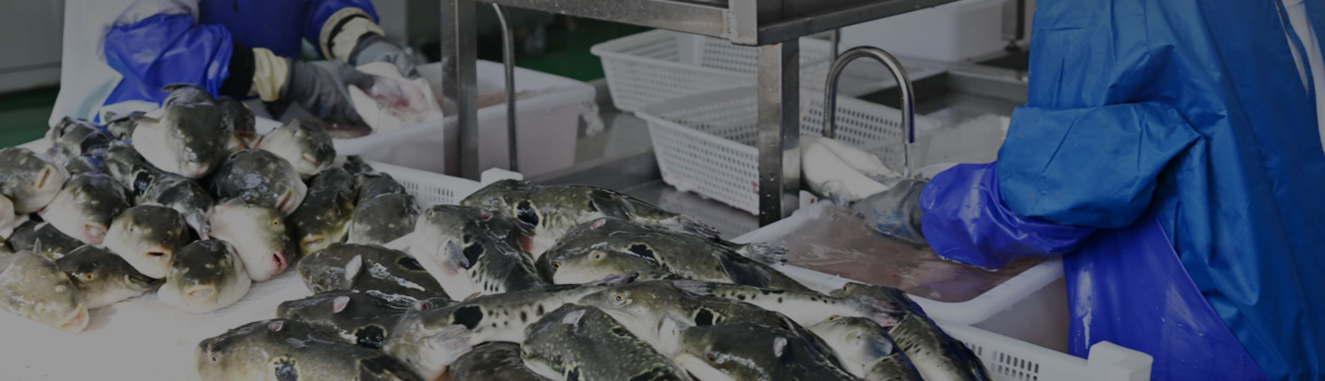 Решения для индустрии водных продуктов