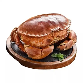 Хлебный краб
