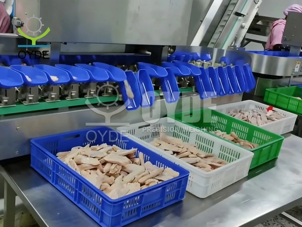 Машина для сортировки куриных крылышек по весу с вращающимися лотками