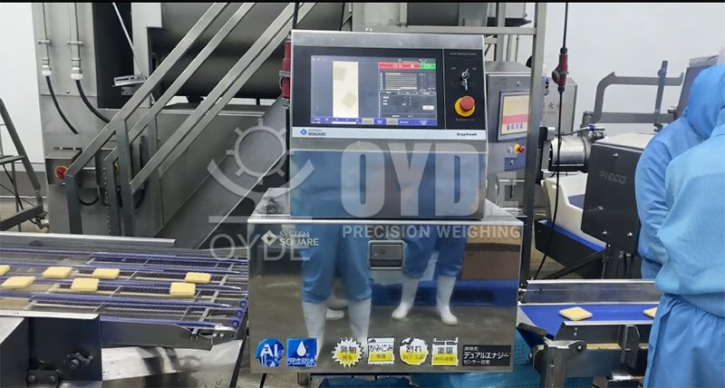 OYDE X-Ray Inspection Machine | Food & Industrial Foreign Body Contaminant Detector