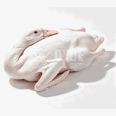 Целая утка