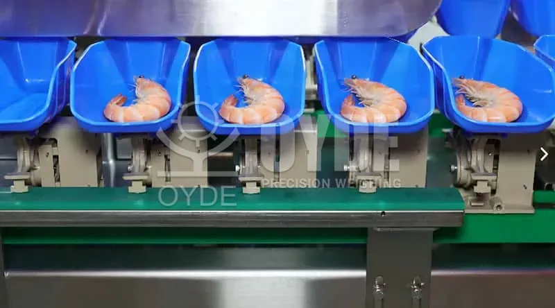 Высокоточный коробчатый сортировщик веса для продуктов питания - OYDE