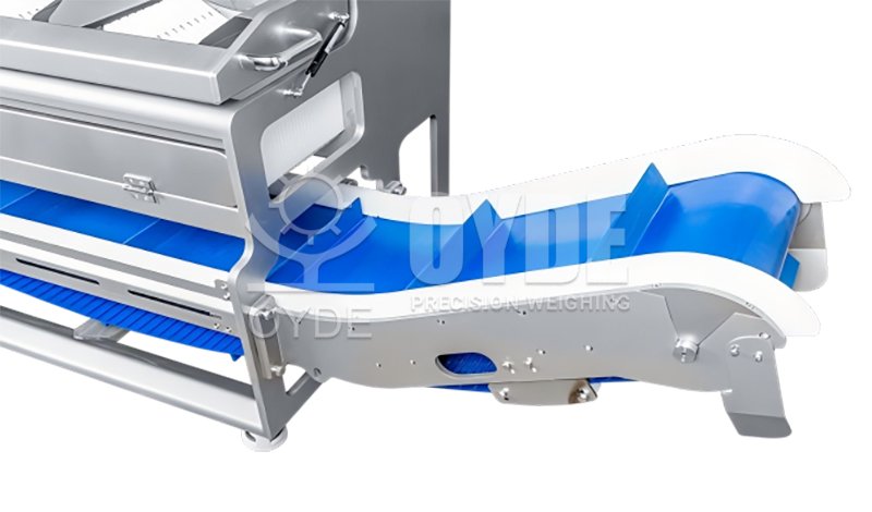 Flip Plate Combination Weigher: High Precision Weighing Machine for Durian, Seafood & Fresh Food