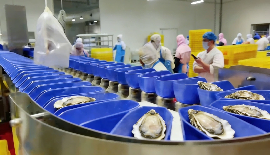 Box-Type Sorting Combination Scale for Seafood & Poultry Automatic Packaging - detail image 2