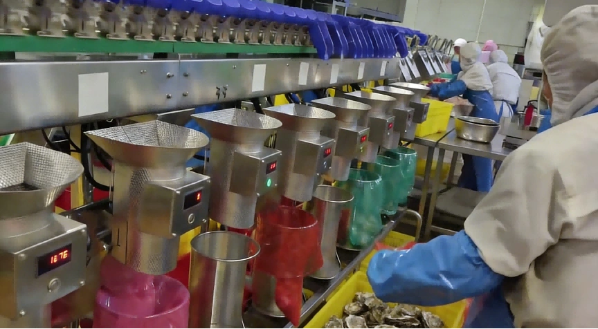 Box-Type Sorting Combination Scale for Seafood & Poultry Automatic Packaging - detail image 4