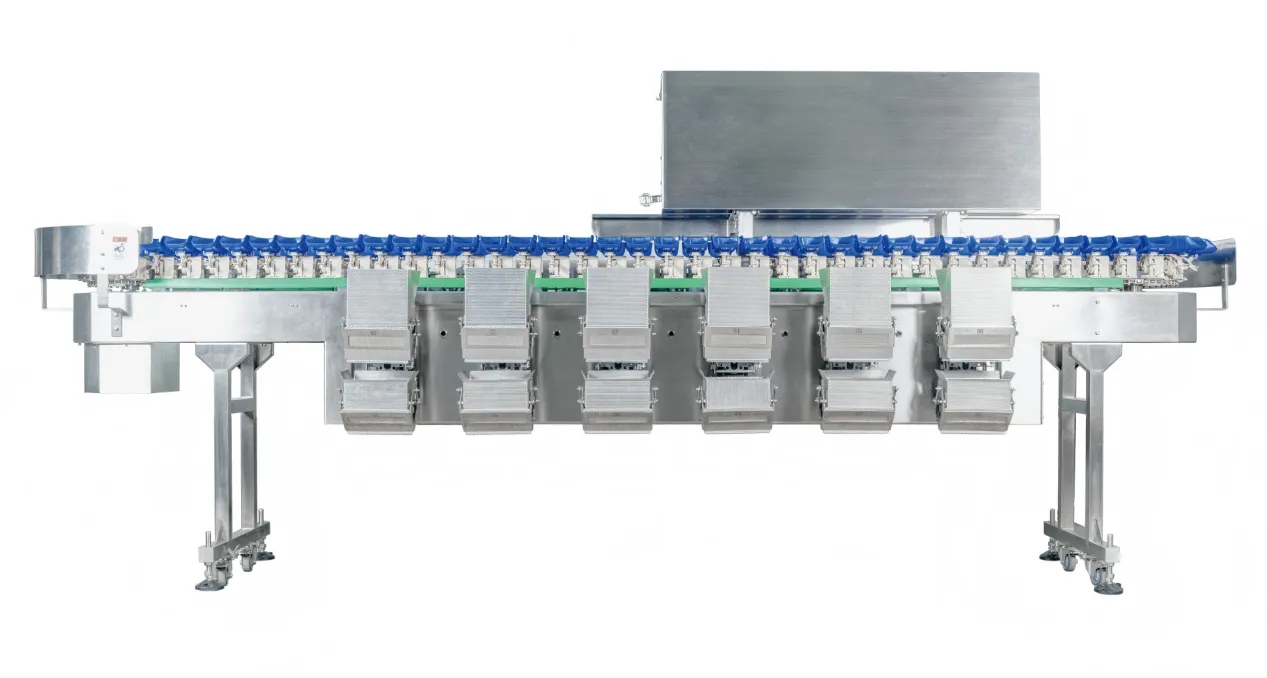 Box-Type Sorting Combination Scale for Seafood & Poultry Automatic Packaging
